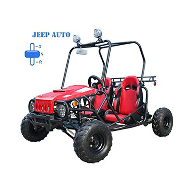 Best 2 Seater Go Karts TAO TAO Jeep Auto Style Go Kart